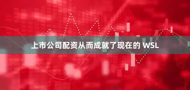 上市公司配资从而成就了现在的 WSL