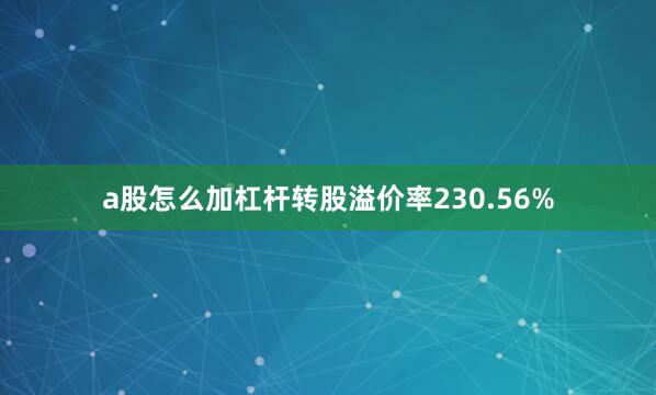 a股怎么加杠杆转股溢价率230.56%