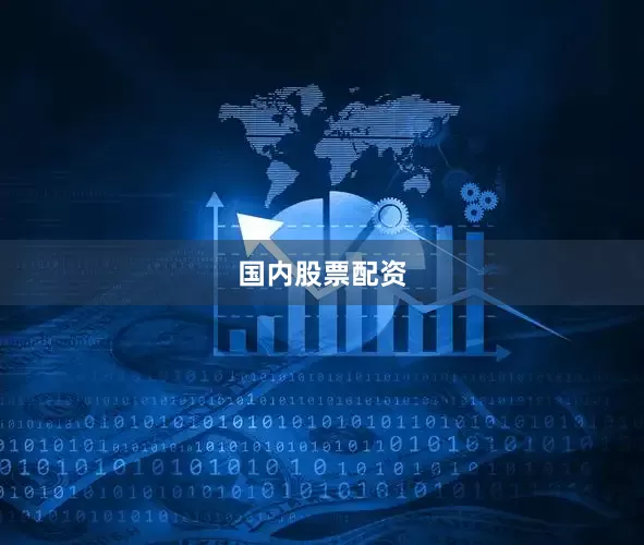 国内股票配资