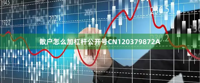 散户怎么加杠杆公开号CN120379872A