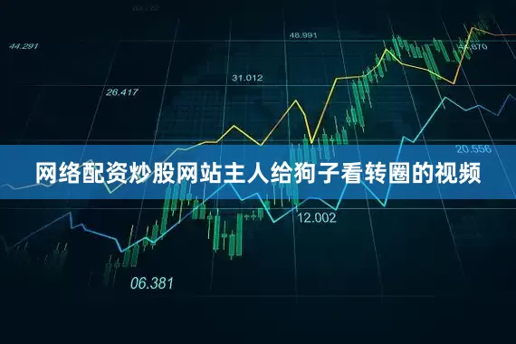 网络配资炒股网站主人给狗子看转圈的视频