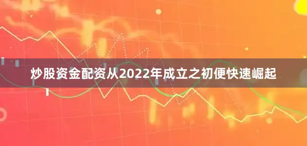 炒股资金配资从2022年成立之初便快速崛起